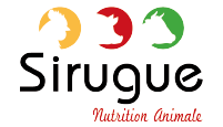 sirugue